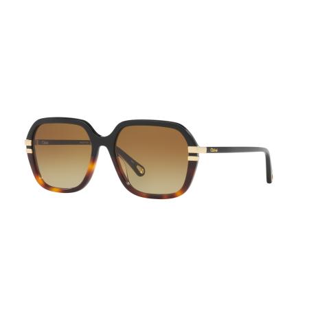 Chloé Vrouwelijk Sunglass CH0204S - Framekleur: Zwart, Lenskleur: Bruin