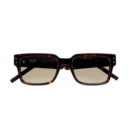 Kaleos Pohl C2 Tortoiseshell Heren Zonnebril