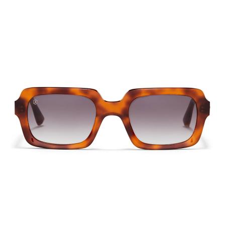 Taylor Morris Sidney C8 Tortoiseshell Heren Zonnebril