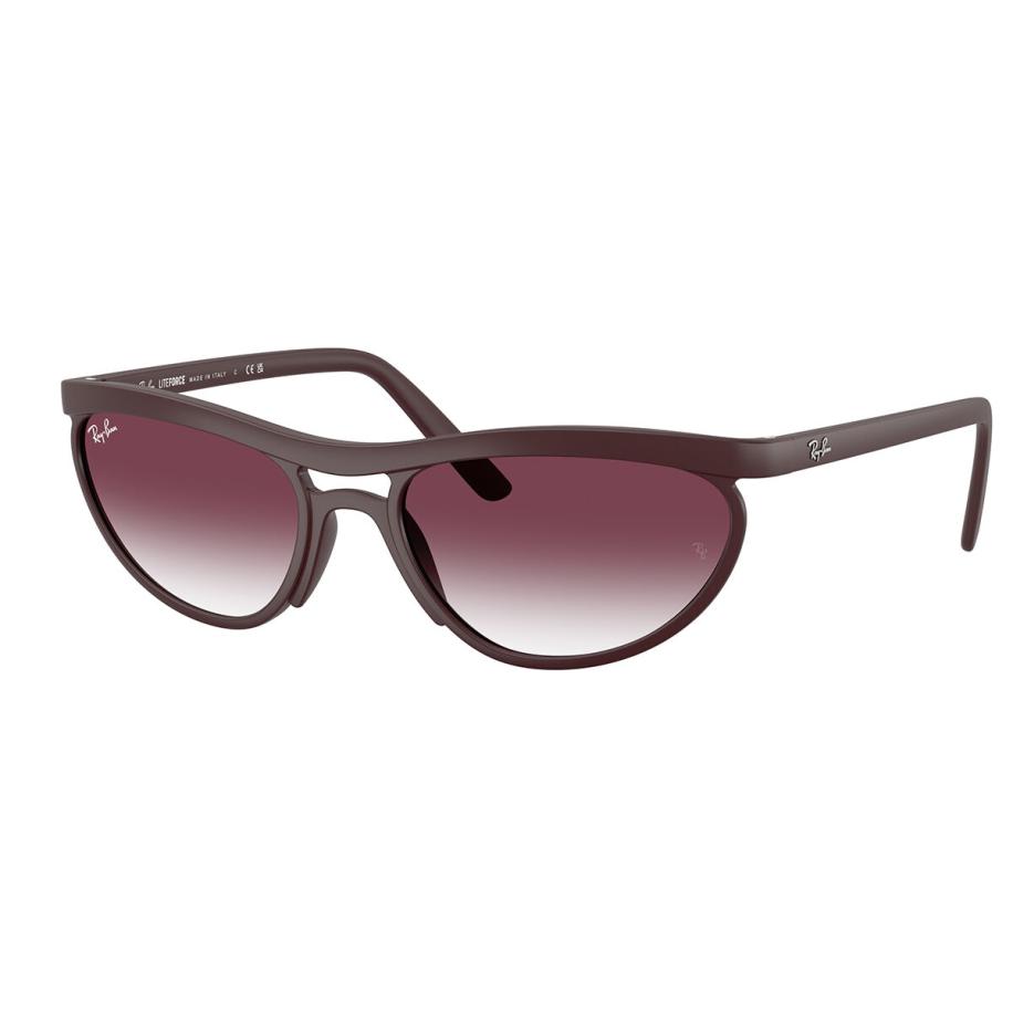 Ray-Ban RB4453 64458H Purple Heren Zonnebril Multicolor