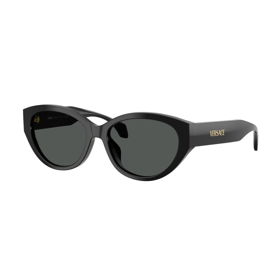 Versace Vrouwelijk Sunglass VE4495D - Framekleur: Zwart, Lenskleur: Donkergrijs Grijs