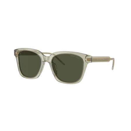 Giorgio Armani AR8210U 608331 Groen Dames Zonnebril