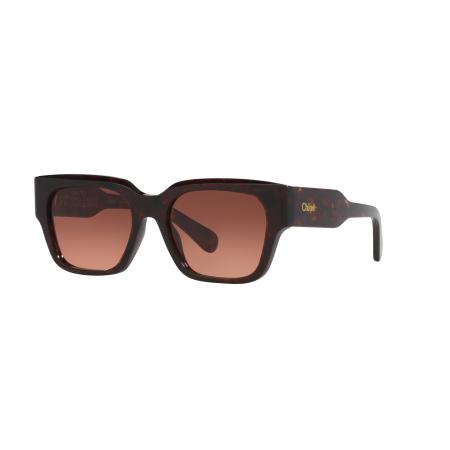 Chloé Vrouwelijk Sunglass CH0190S - Framekleur: Tortoise, Lenskleur: Koper