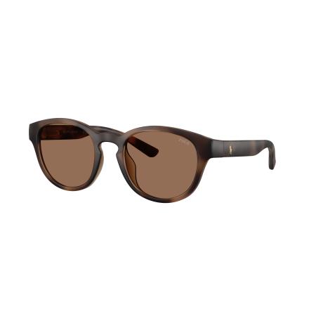 Polo Ralph Lauren Mannelijk Sunglass PH4233U - Framekleur: Mat donker Havana, Lenskleur: Donkerbruin