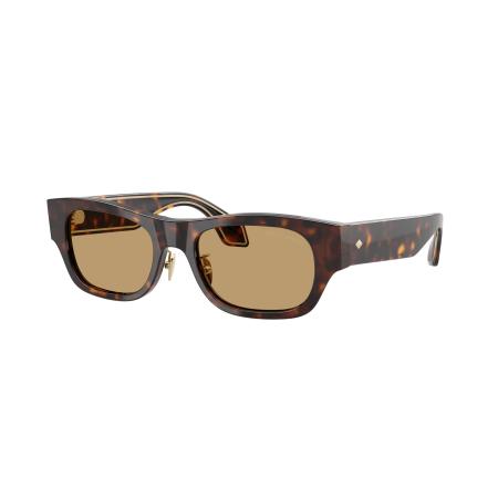 Giorgio Armani AR8224 502673 Tortoiseshell Heren Zonnebril