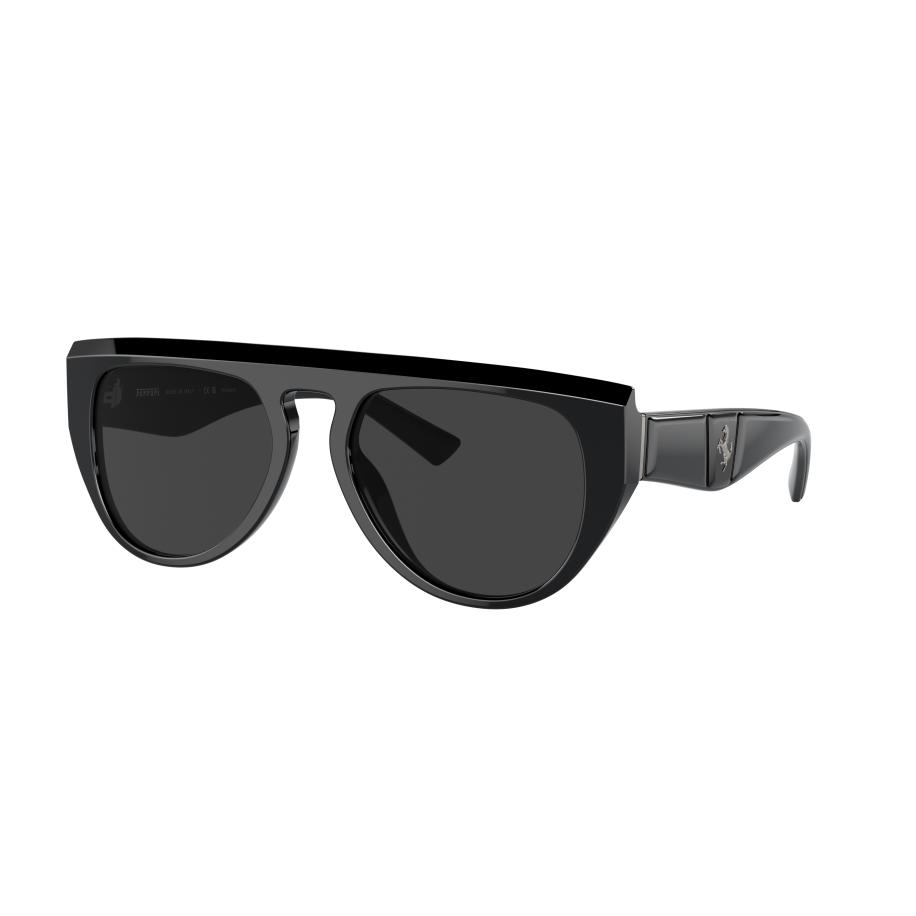 Ferrari Unisex Sunglass FH2005U - Framekleur: Zwart, Lenskleur: Polar zwart Bruin