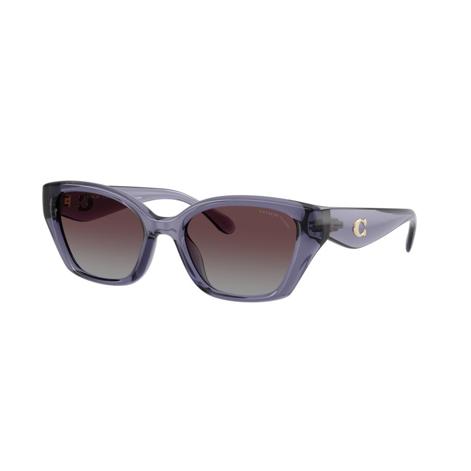 Coach Vrouwelijk Sunglass HC8434U CBY91 - Framekleur: Transparant violet, Lenskleur: Paars grijs gradiënt polarized Multicolor