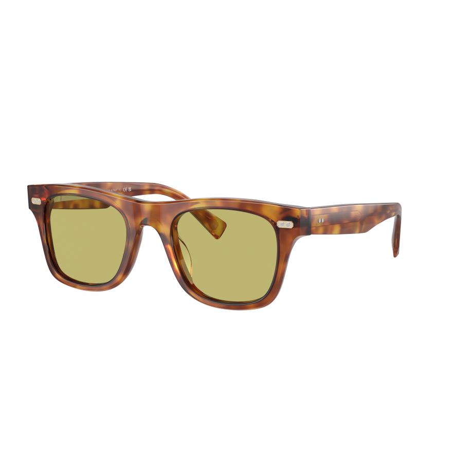 Brunello Cucinelli Unisex Sunglass BC4002S Mr.Brunello - Framekleur: Havana, Lenskleur: Lichtgroen photochromic Multicolor