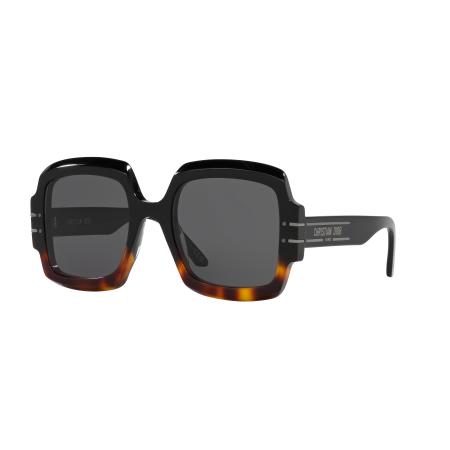 DIOR Vrouwelijk Sunglass DiorSignature S1U - Framekleur: Glanzend zwart, Lenskleur: Dofgrijs