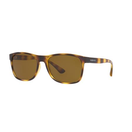 Sunglass Hut Collection Mannelijk Sunglass HU2020 - Framekleur: Glanzend Havana, Lenskleur: Gradiënt bruin