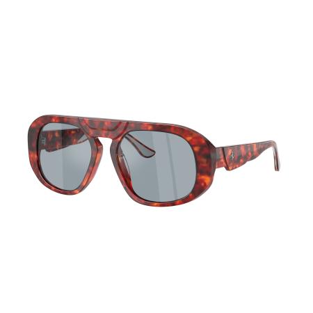 Ferrari Mannelijk Sunglass FH2014U - Framekleur: Bruin tortoise, Lenskleur: Polar Blauw