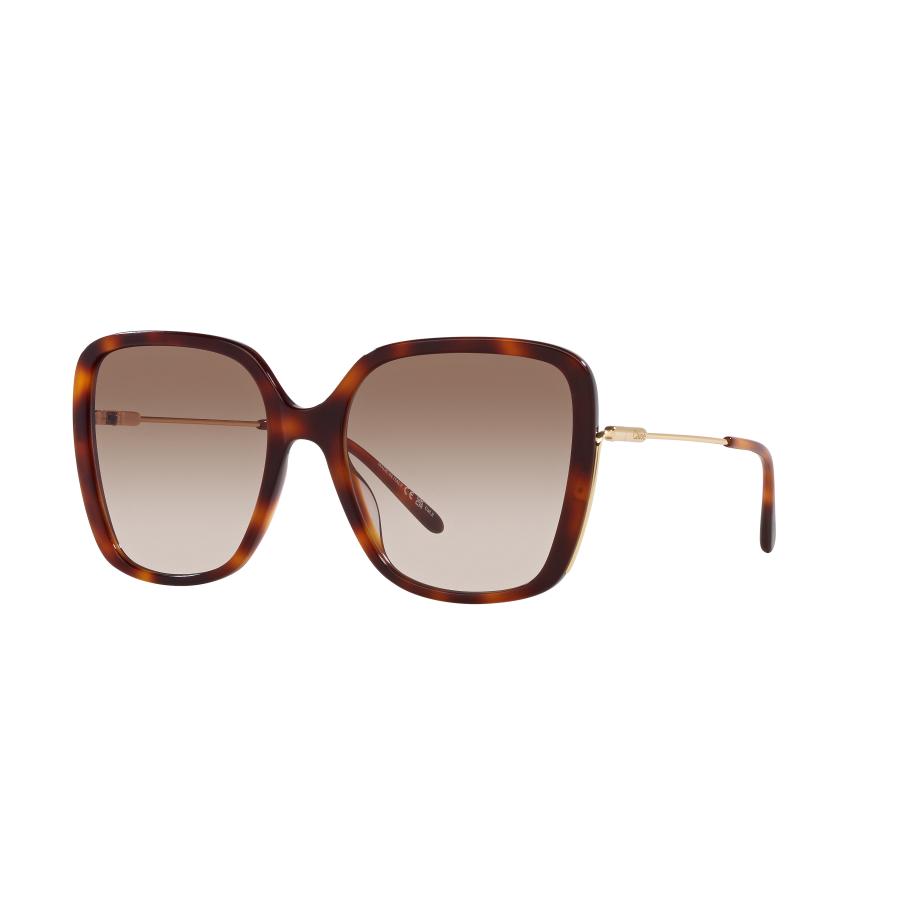 Chloé Vrouwelijk Sunglass CH0173S - Framekleur: Tortoise, Lenskleur: Bruin Bruin