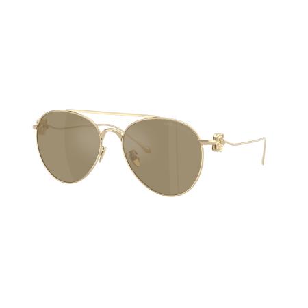 Giorgio Armani AR6167 30130W Goud Dames Zonnebril