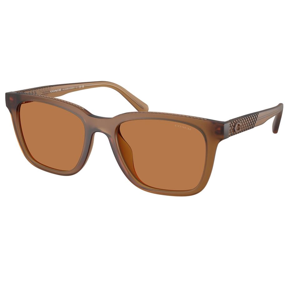 Coach HC8426U CAD81 587673 Bruin Heren Zonnebril