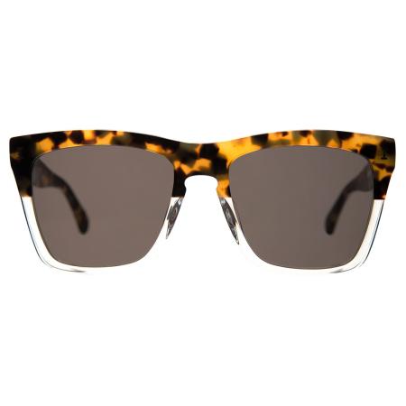 Illesteva Los Feliz LFZ3 Tortoiseshell Heren Zonnebril