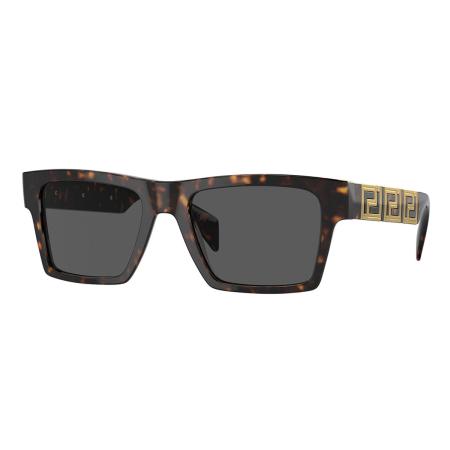 Versace VE4445 108/87 Tortoiseshell Heren Zonnebril
