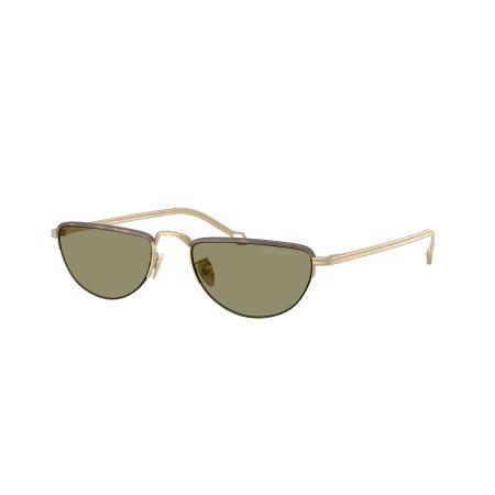 Giorgio Armani AR6166J 30022A Goud Heren Zonnebril