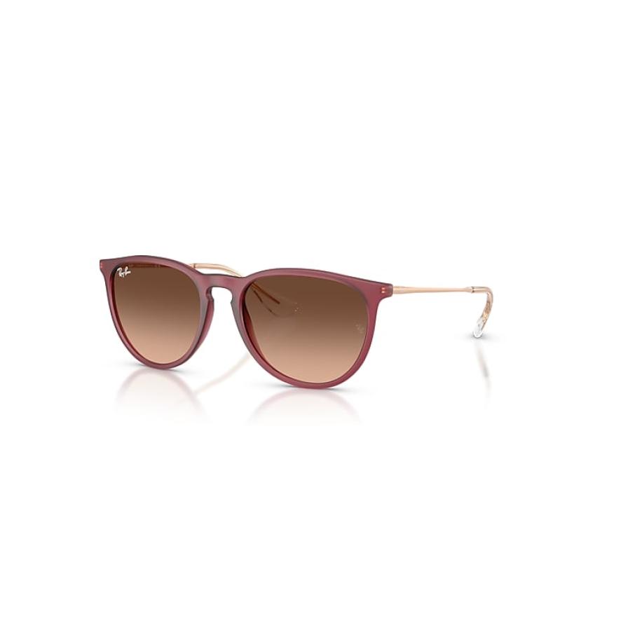 Ray-Ban Erika Classic zonnebril Rubber Violet montuur Roze glazen 54-18 Paars