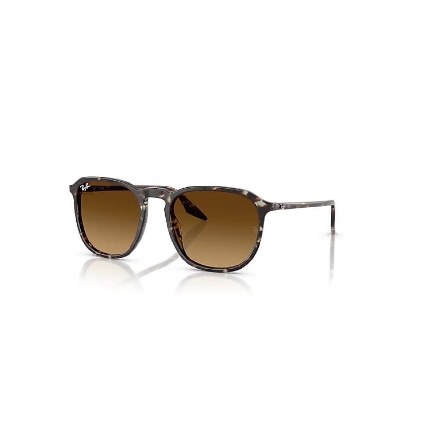 Ray-Ban Rb2203 zonnebril Havana Geel Schildpad montuur Bruin glazen 52-20 Multicolor