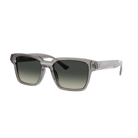 Ferrari Unisex Sunglass FH2011U - Framekleur: Transparant grijs, Lenskleur: Gradiënt grijs