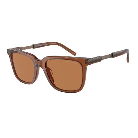 Giorgio Armani AR8202U 604973 Bruin Heren Zonnebril