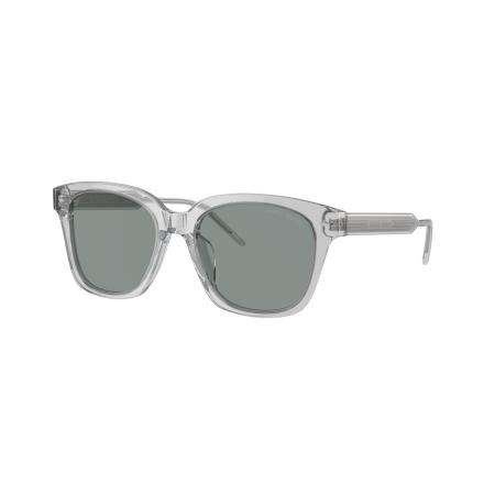 Giorgio Armani AR8210U 608056 Grijs Dames Zonnebril