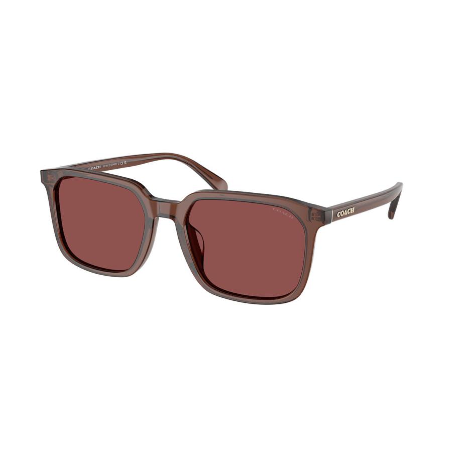 Coach HC8411U CW405 585075 Bruin Heren Zonnebril