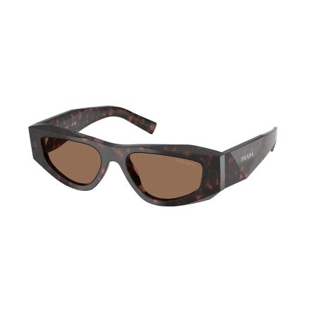Prada PR B19SF Aziatische pasvorm 17N06B Tortoiseshell Heren Zonnebril