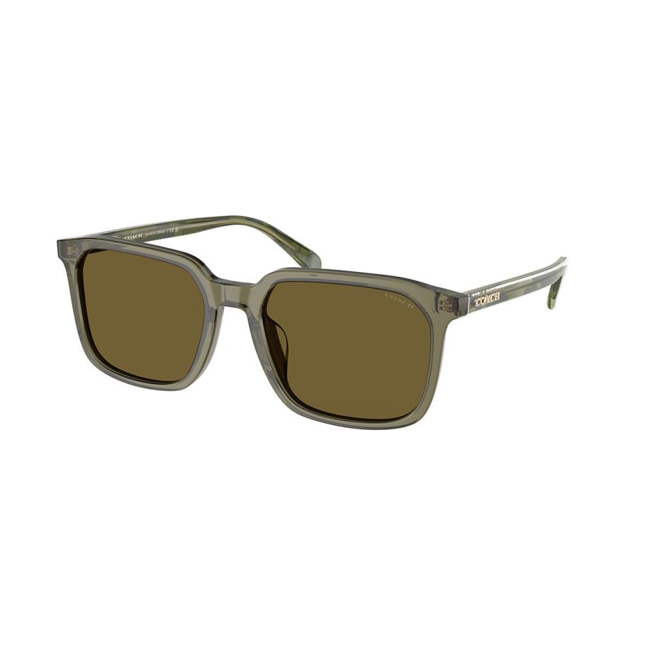 Coach HC8411U CW405 5848S7 Groen Heren Zonnebril