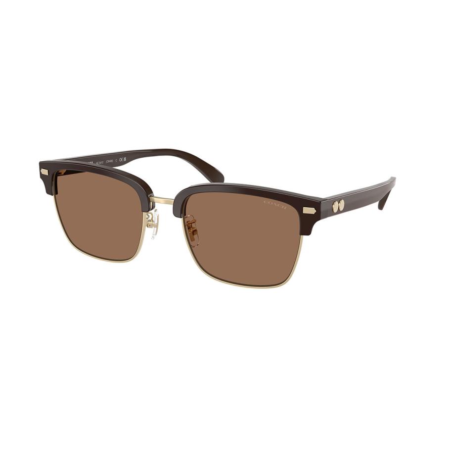 Coach HC8412 CW406 554273 Bruin Heren Zonnebril