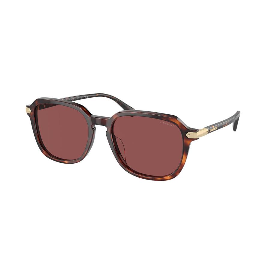 Coach HC8383U CL912 579875 Tortoiseshell Heren Zonnebril