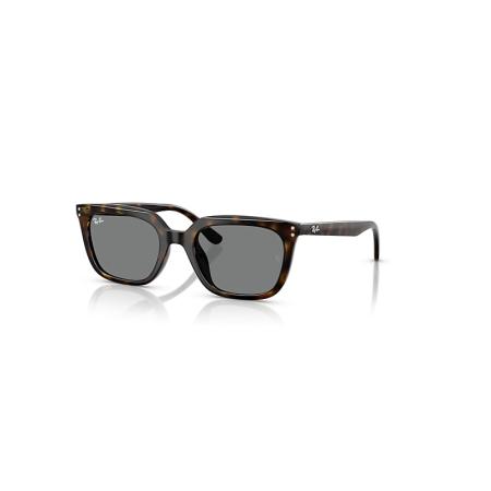 Ray-Ban Rb4439d zonnebril Havana montuur Grijs glazen 54-21