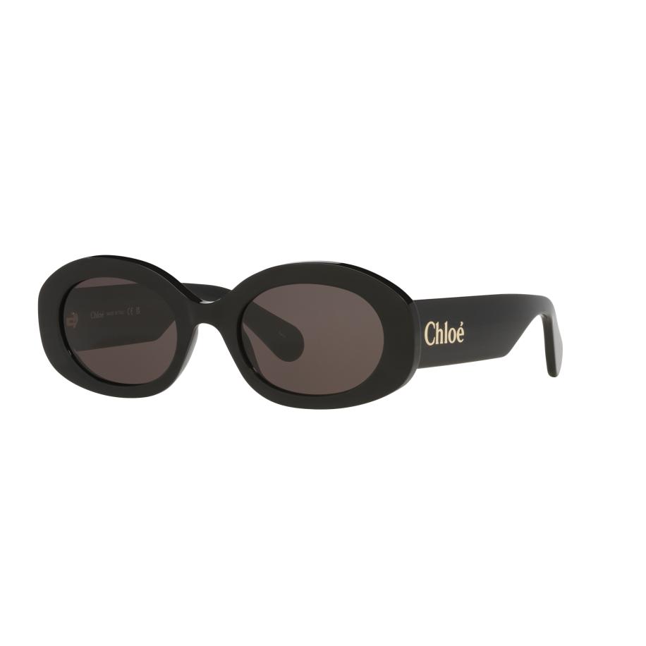Chloé Vrouwelijk Sunglass CH0258S - Framekleur: Zwart, Lenskleur: Grijs Grijs