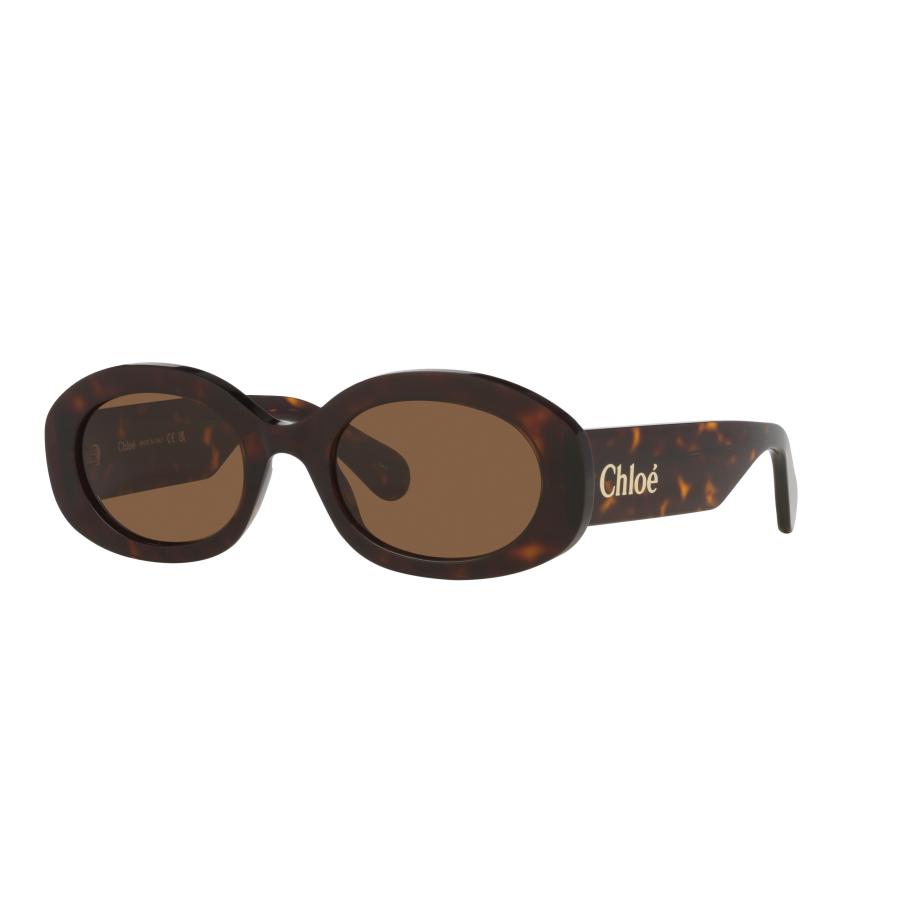 Chloé Vrouwelijk Sunglass CH0258S - Framekleur: Tortoise, Lenskleur: Bruin Bruin