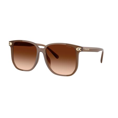 Coach HC8413BD CW419 Aziatische pasvorm 580874 Bruin Dames Zonnebril
