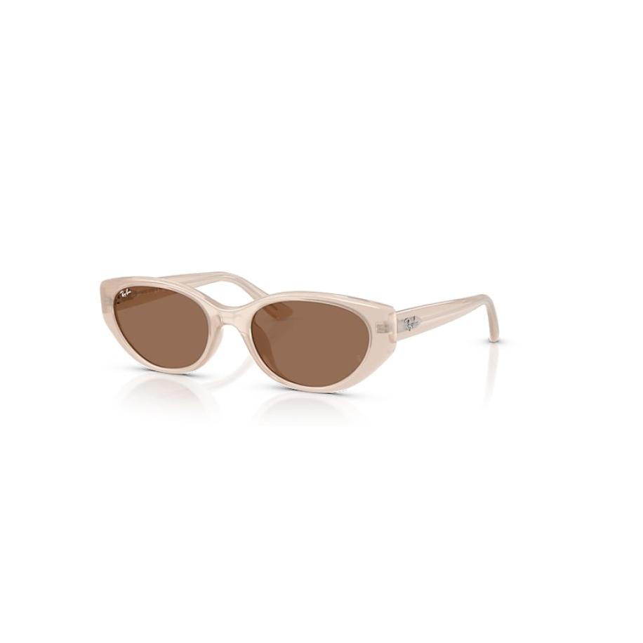 Ray-Ban RB4457D Aziatische pasvorm 678673 Bruin Heren Zonnebril Bruin