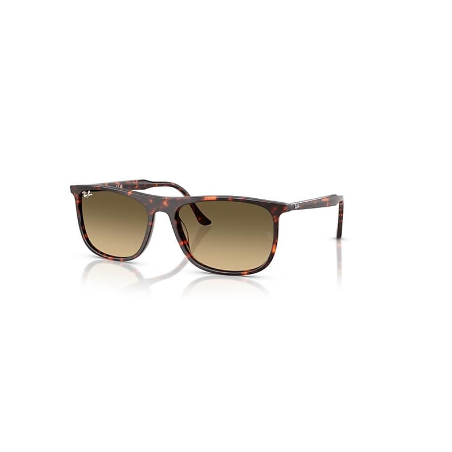 Ray-Ban Rb2216 zonnebril Havana Rood Schildpad montuur Bruin glazen 58-18 Multicolor