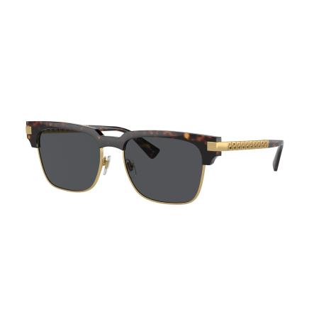Versace VE4447 108/87 Tortoiseshell Heren Zonnebril