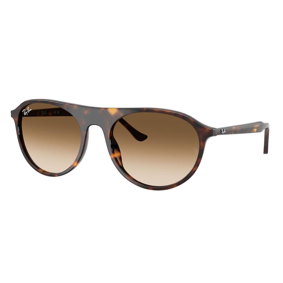 Ray-Ban RB2215 902/51 Tortoiseshell Heren Zonnebril Bruin
