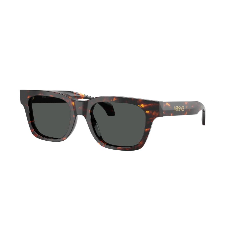 Versace VE4486 550987 Tortoiseshell Heren Zonnebril