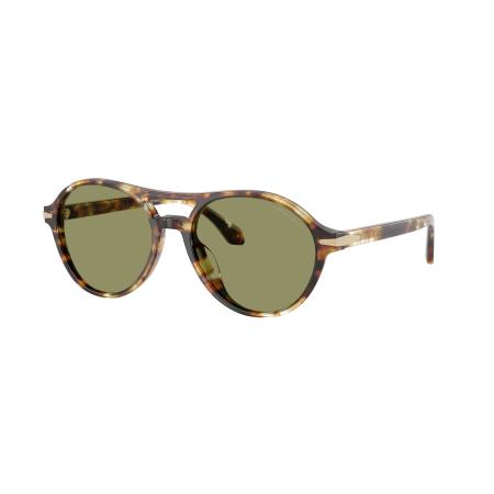 Giorgio Armani AR8236U 623214 Tortoiseshell Heren Zonnebril