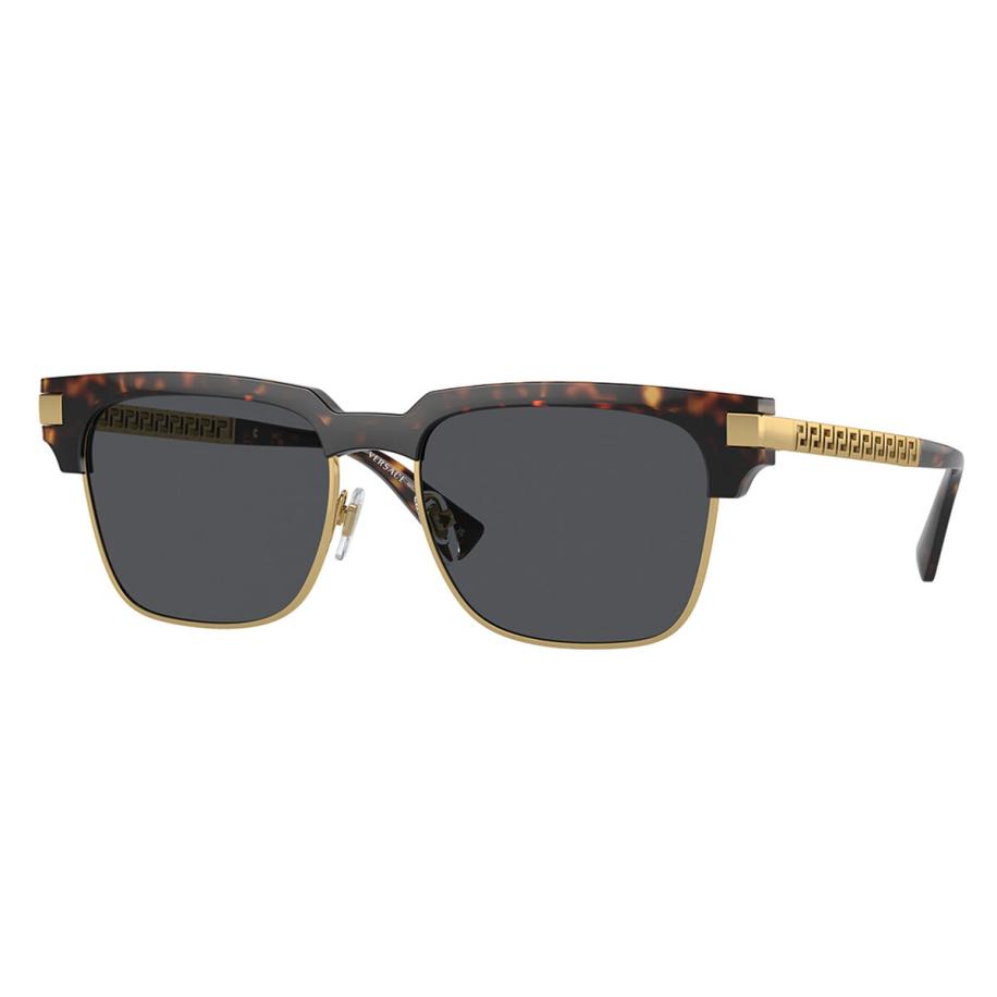 Versace VE4447 108/87 Tortoiseshell Heren Zonnebril