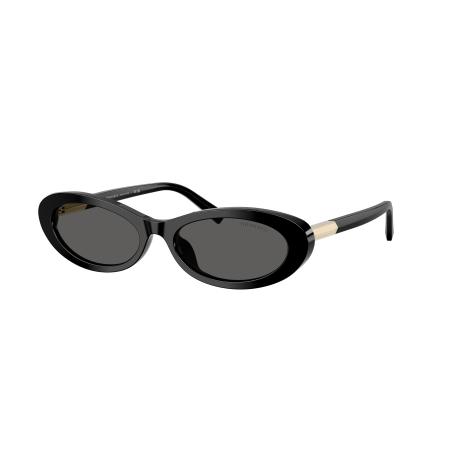 Tiffany & Co. Vrouwelijk Sunglass TF4250 - Framekleur: Zwart, Lenskleur: Donkergrijs
