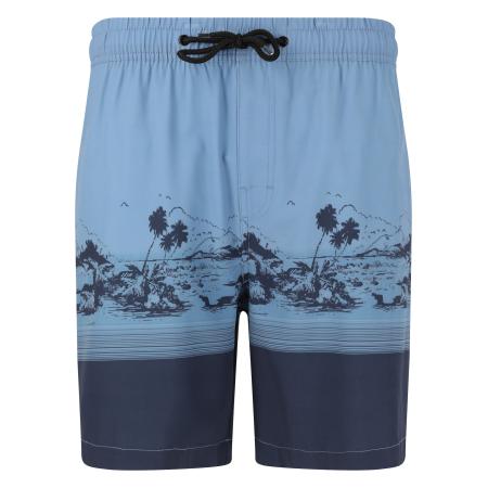 Cruz Cruz Boardshorts Hector smoky blue