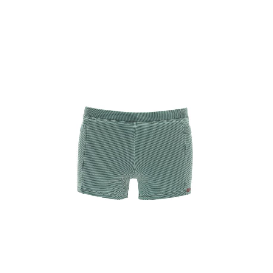 WAVEBREAKER wavebreaker Zwembroek pastelgroen -